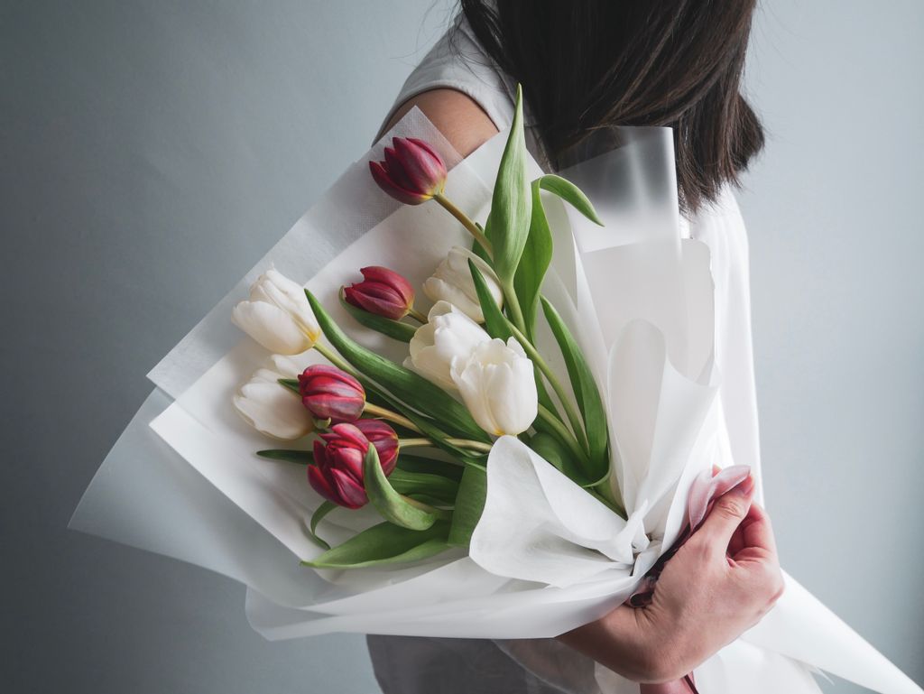 Classic Tulips