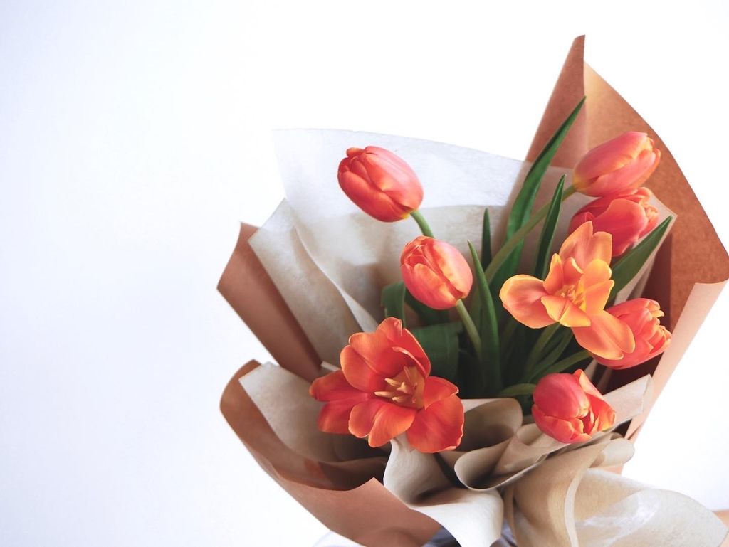 Classic Tulips