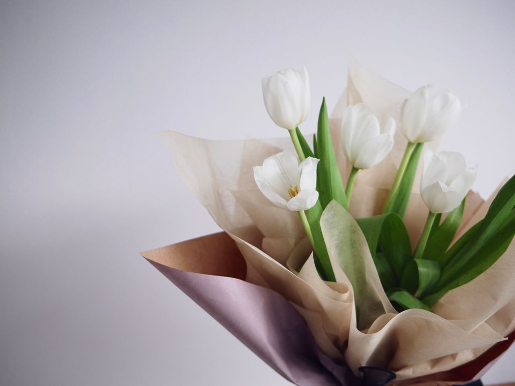 Classic Tulips