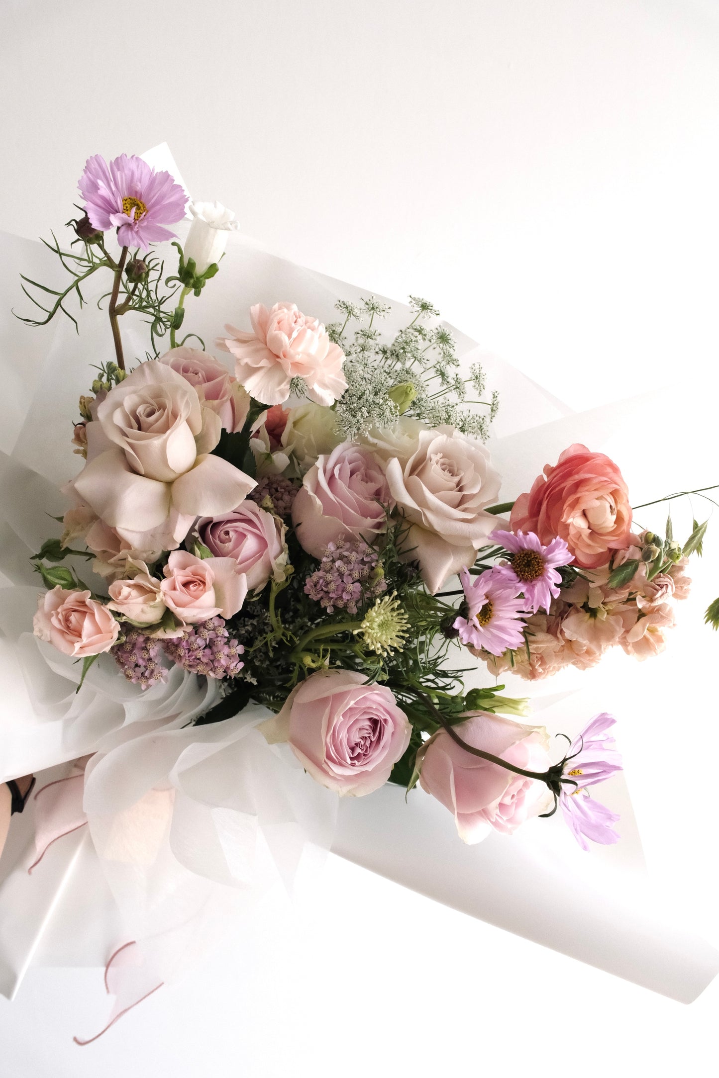 Baby pink blooms