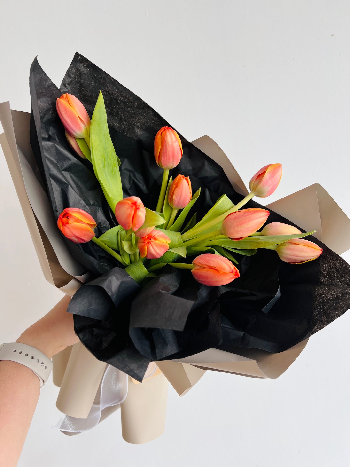 Classic Tulips