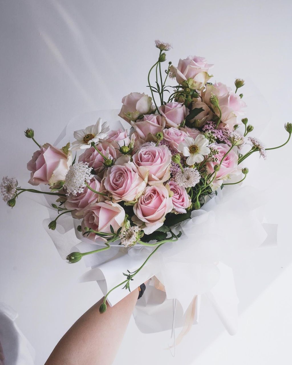 Pink Blush