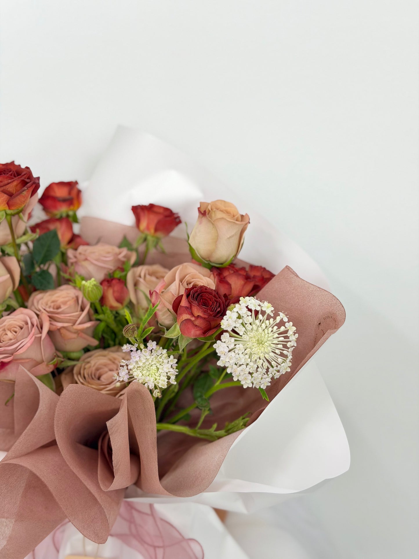 Choco-Rose Dream